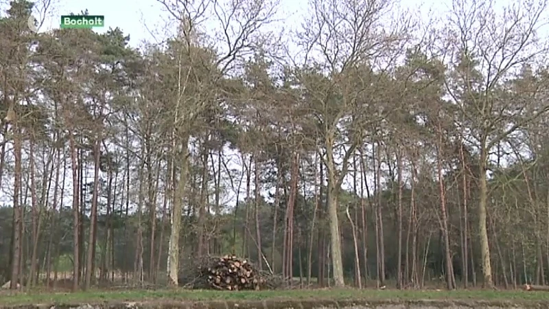 Protest groeit tegen zandwinning Kaulille