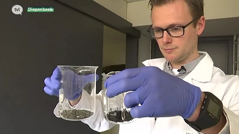 Universiteit Hasselt: zeewier remt Alzheimer af
