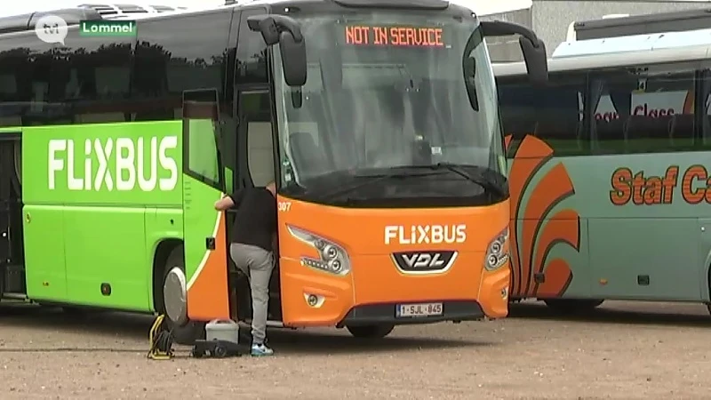 Lommels Staf Cars spreidt vleugels in Verenigde Staten