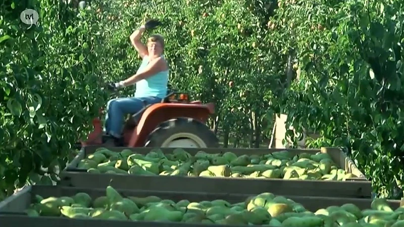 Els Robeyns wil fruit als sector in moeilijkheden laten erkennen