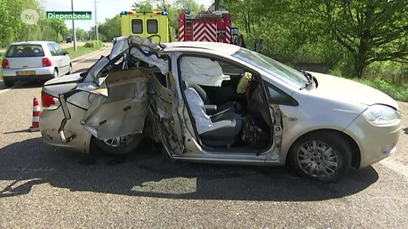 Auto knalt tegen boom in Diepenbeek