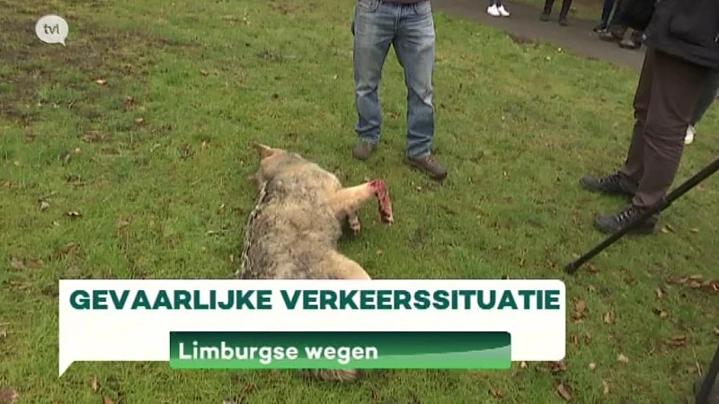 TVL Nieuws, 1 mei 2019