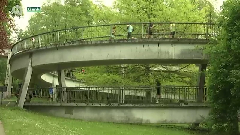 3.900 deelnemers tijdens zevende editie Genk Loopt