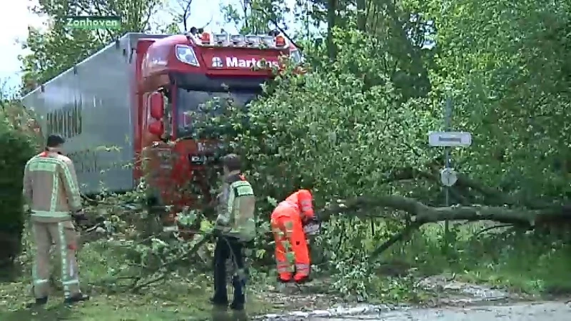 Kleine windhoos rukt bomen uit de grond in Zonhoven