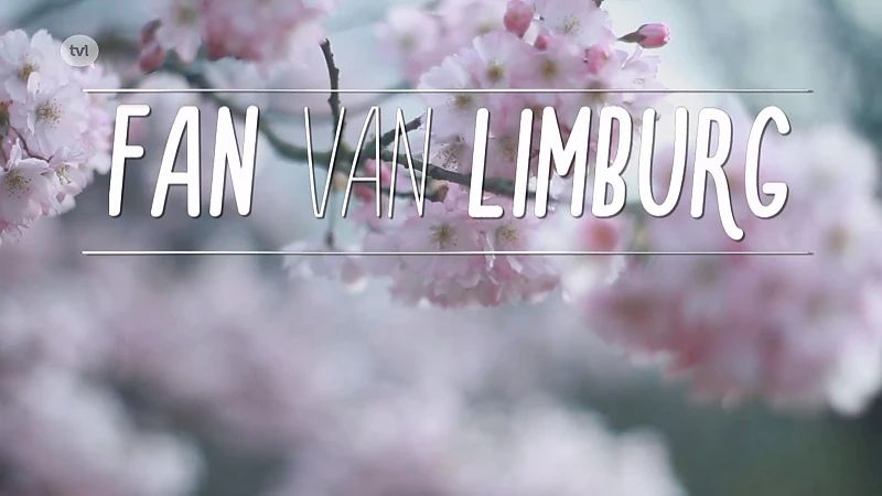 Fan van Limburg: 9 mei 2019