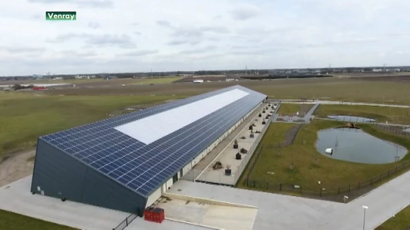 Dier- en milieuvriendelijke kippenboerderij komt naar Peer