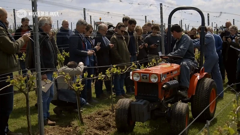 Mechanische onkruidbestrijding in de landbouwsector