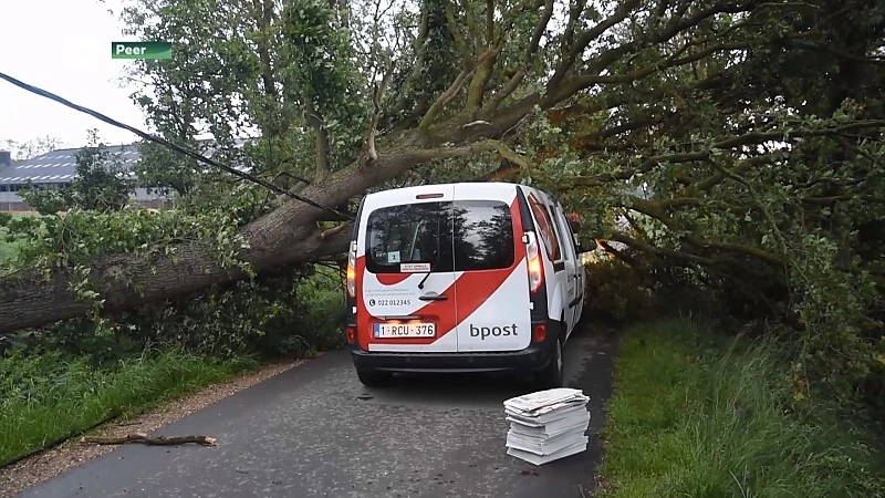 Stormschade in Limburg