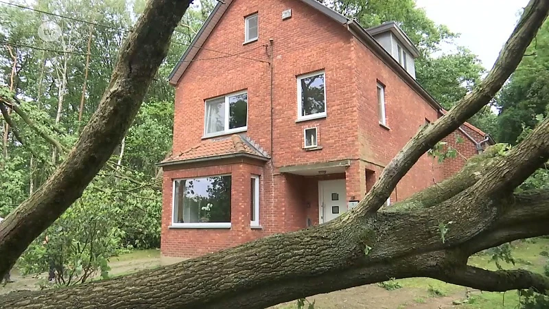 Enorme stormschade in Limburg: dit is de ravage in Genk