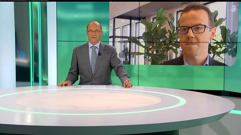 Limburgse KMO's tekenen sterkste groei in tewerkstelling op in Vlaanderen
