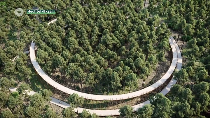 Fietsen door de bomen