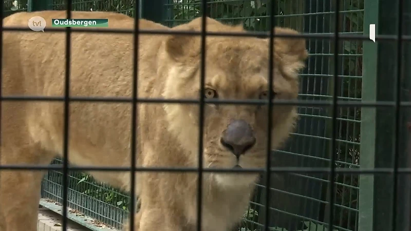Enorme uitbreiding voor Natuurhulpcentrum in Opglabbeek