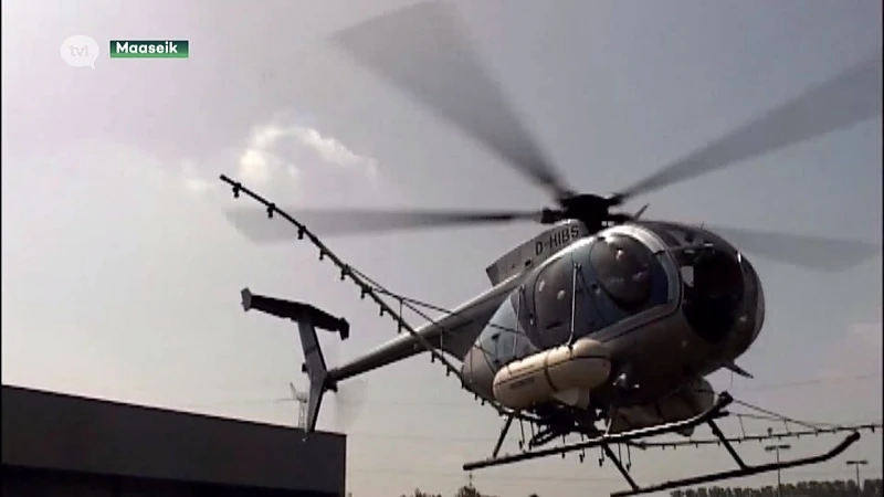 Burgemeester Maaseik wil leger en helikopters inzetten in strijd tegen processierupsen