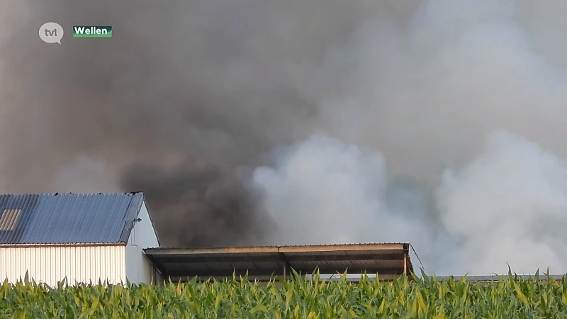 Paard sterft in stalbrand in Wellen