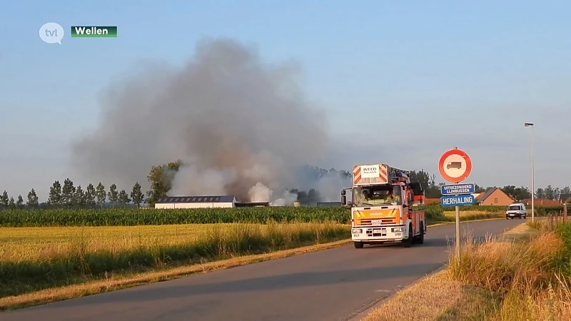 Paard sterft in stalbrand in Wellen