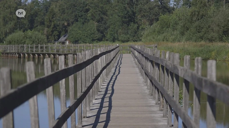 Zomertip: Domein Bovy, wandelplezier voor het hele gezin