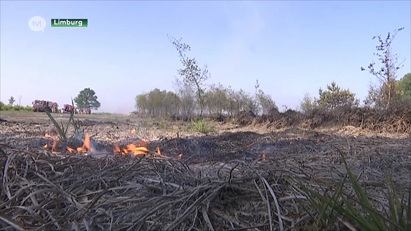 Ondanks neerslag waarschuwt brandweer voor brandgevaar in natuurgebieden
