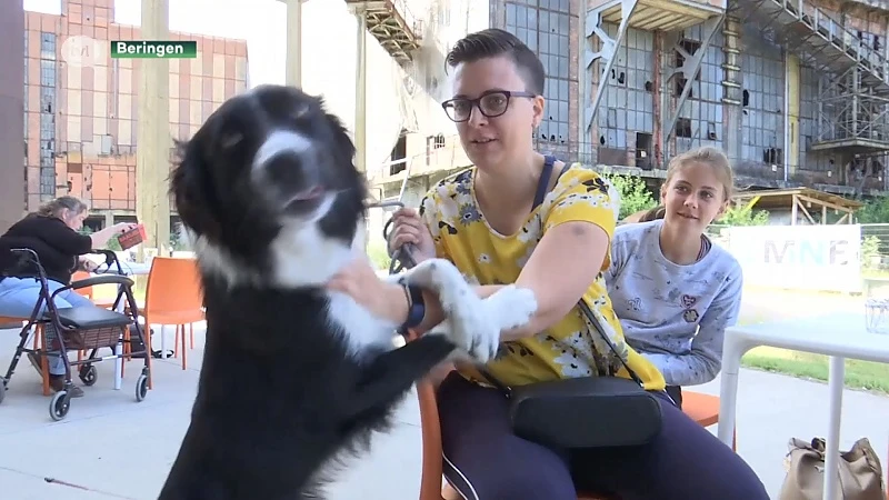 Honden smullen van pizza en frieten in eerste hondenbar in Beringen