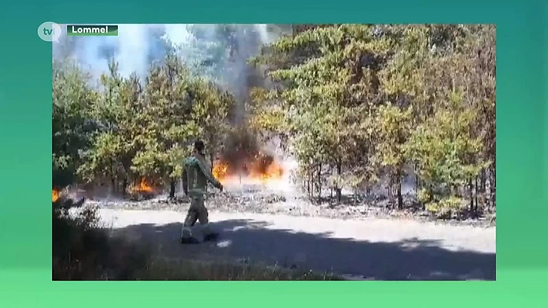 Berm vat vuur door droogte in Lommel. Brandweer roept op om extra voorzichtig te zijn.