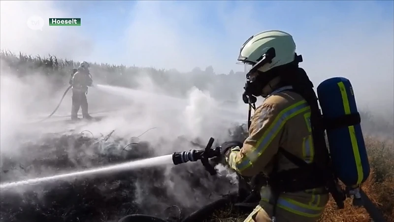 Brand in Hoeselt zorgt voor enorme zwarte rookpluim