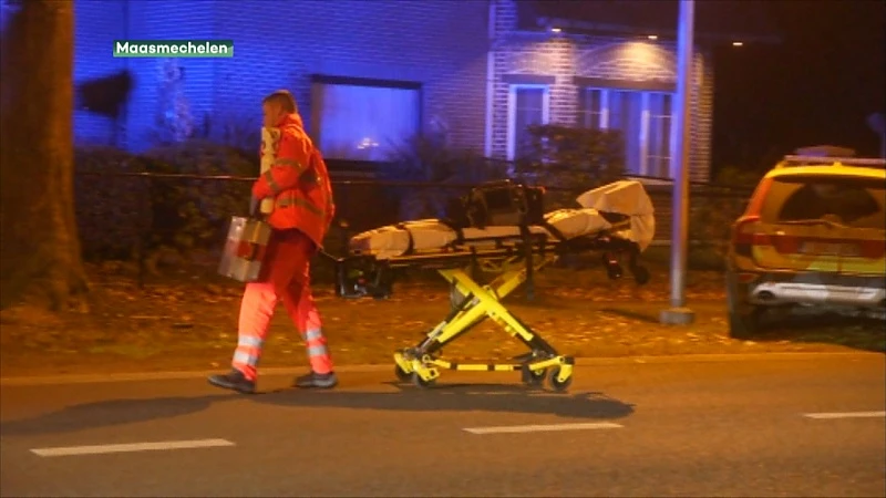 10 jaar cel voor tiener bij neerschieten Maasmechelaar bij home-invasion