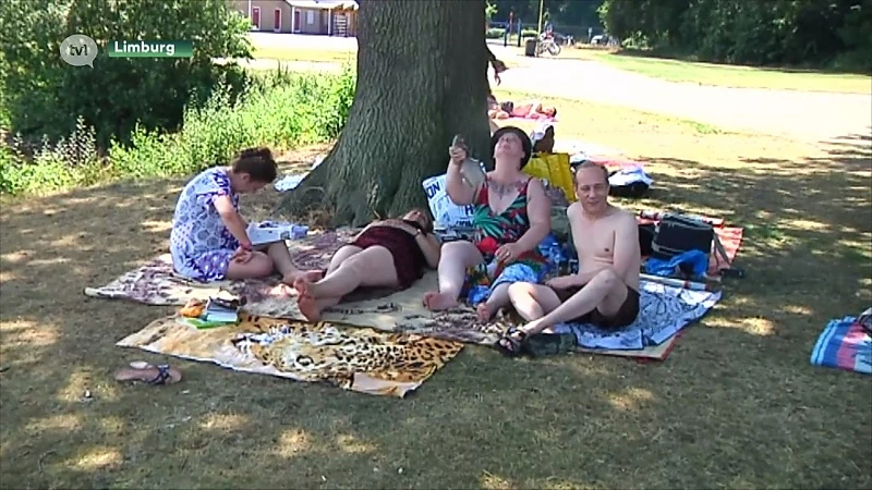 Natuur en Bos gaat processierups in Limburgse natuurgebieden bestrijden