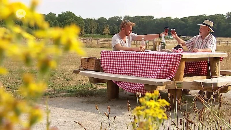 De Zomer van TVL (AFL 6)