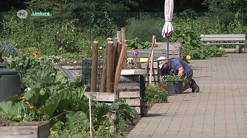 Limburg.net geeft cursussen kringlooptuinieren