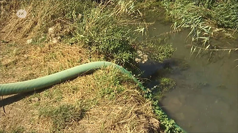 Zwemverbod op vier Limburgse waterlopen