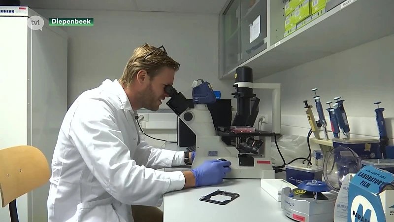 Onderzoekers UHasselt zetten belangrijke stap in behandeling progressieve MS