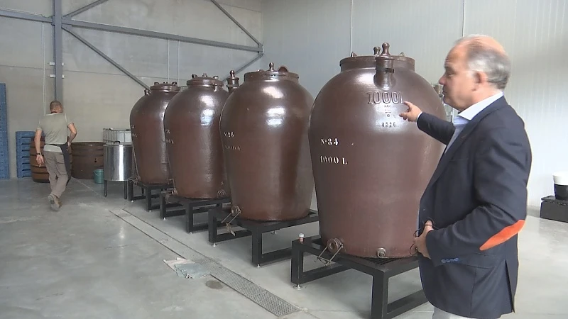 Jenever Fryns keert terug naar Hasselt