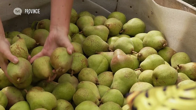 Fan van Limburg: 19 september 2019