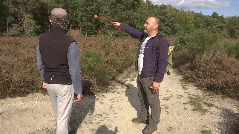 Wolvenkenners nemen waarneming in Houthalen ernstig