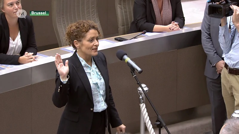 3 Limburgse ministers in Vlaamse regering. Wat zijn de doelstellingen?