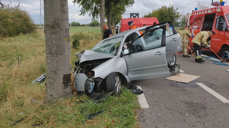 Limburg enige provincie met minder verkeersdoden