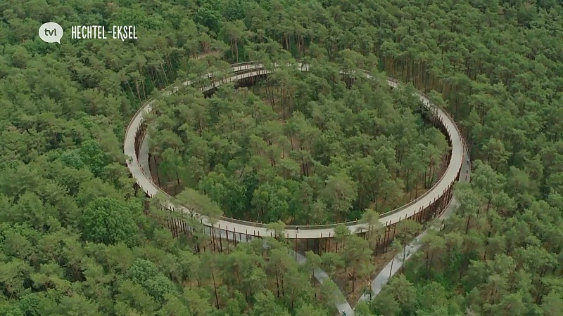 Fietsen tussen de bomen & The treehouse