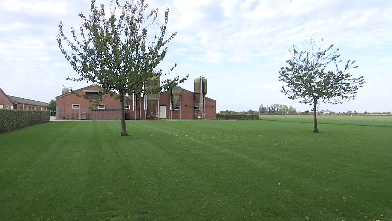Dan toch geen vergunning voor kippenkwekerij in Borgloon