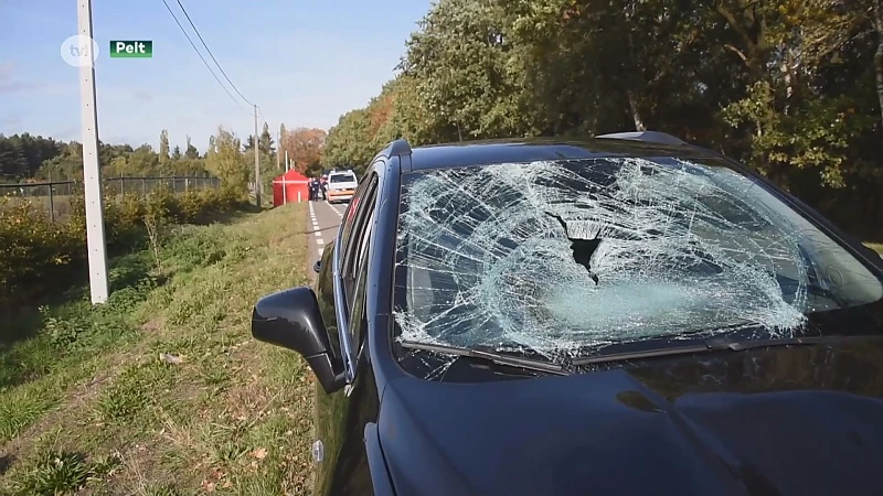 Fietser overleden na ongeval in Pelt