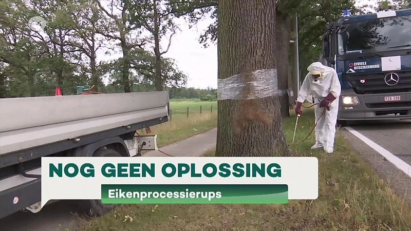 TVL Nieuws, 4 oktober 2019