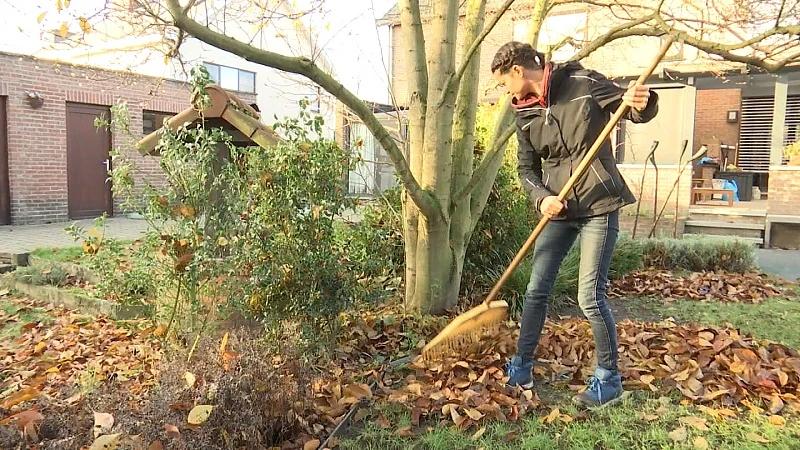 Hoe uw tuin klaarmaken voor de winter