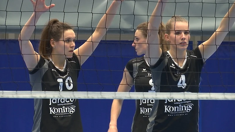 Fusieclub Ladiesvolley Limburg neemt vliegende start: "Willen meedoen voor de prijzen."