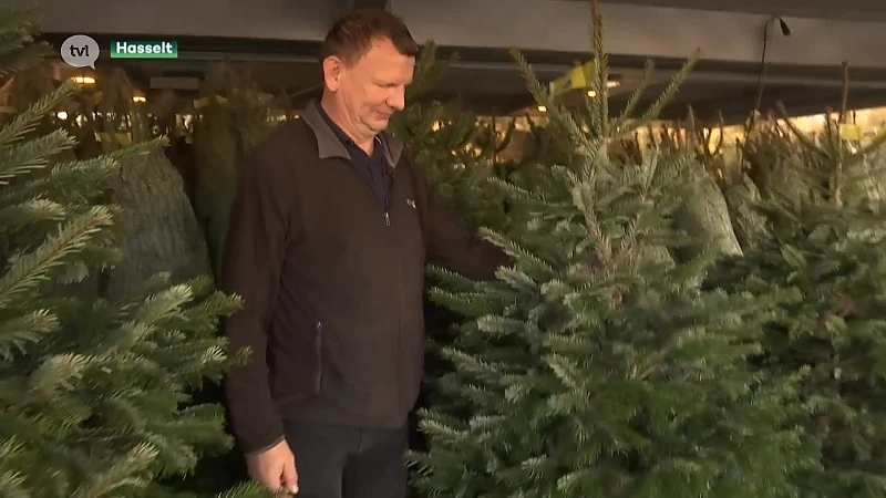 Verkoop kerstbomen van start