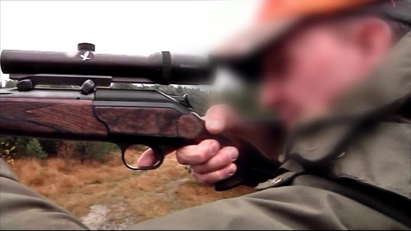 Welkom Wolf dient klacht in bij Europa tegen jagers