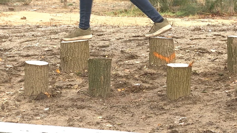 Primeur in Lommel: stukje wildernis in woonwijk