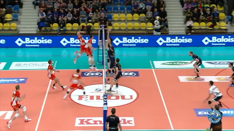 Opnieuw geen bekerfinale voor Greenyard Maaseik