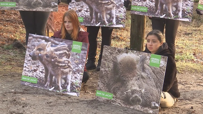 Animal Rights houdt stille wake tijdens drukjacht in Zonhoven