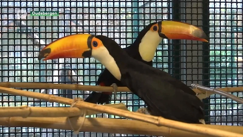 Natuurhulpcentrum stevent af op recordaantal van 18.000 leden