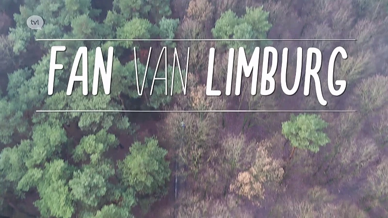 Fan van Limburg 12/12