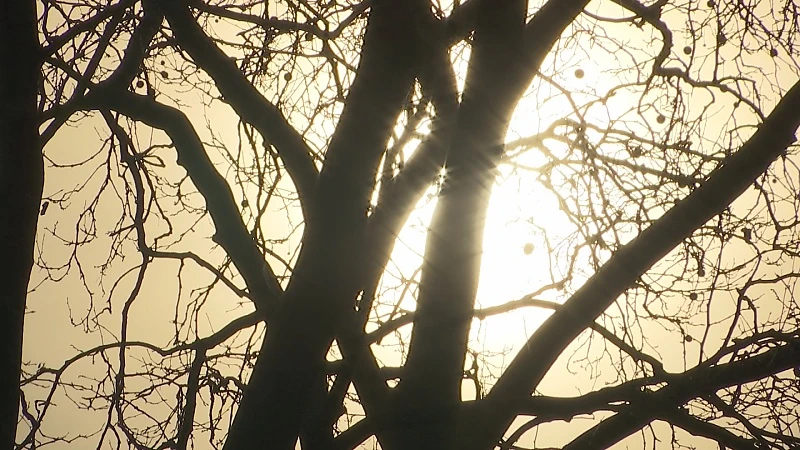 Het is vandaag warmer in Limburg dan in centraal Spanje