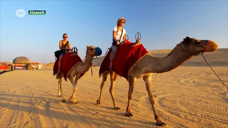 Limburgers trekken massaal naar de zon tijdens de kerstvakantie